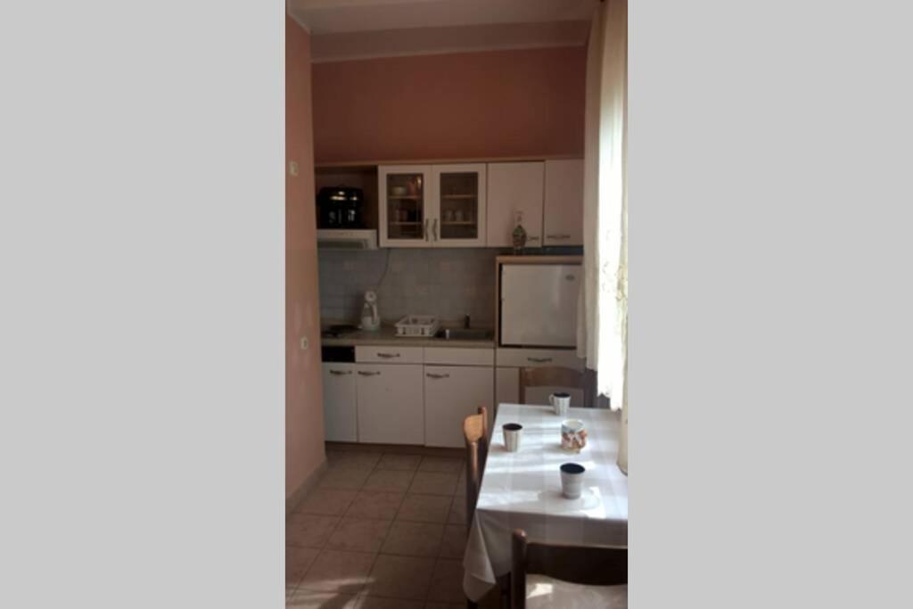 Near Beach - Apartments Marica - Studio 罗维尼 外观 照片