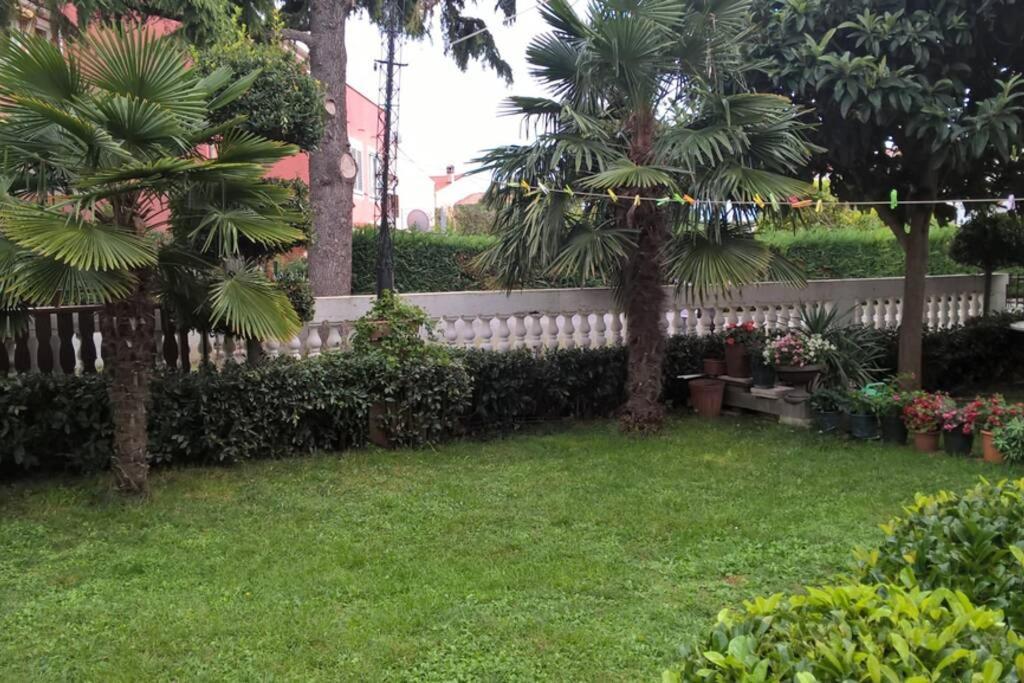 Near Beach - Apartments Marica - Studio 罗维尼 外观 照片